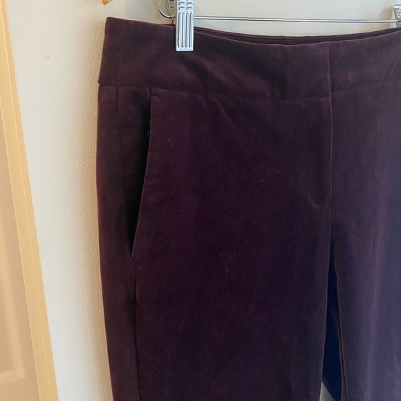 Ann Taylor Velvet Burgundy Modern Fit Cotton Slim Pants Size 8 Women’s Straight - Picture 3 of 7